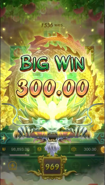 betwinner