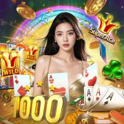 955bet