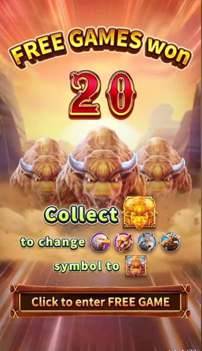 betboo